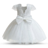 41939794460783|41939794493551|41939794886767|41939795050607|41939795083375|41939795116143|41939795148911