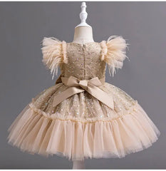 Girls Flying Sleeves Big Bow Mesh Princess Dress